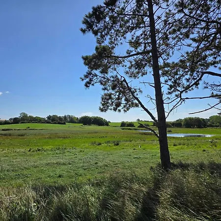 Luxury Pool Retreat In Kegnaes - By Traum * Høruphav